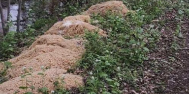 500 Kilogramm Nudeln im Wald gefunden: Das steckt dahinter
