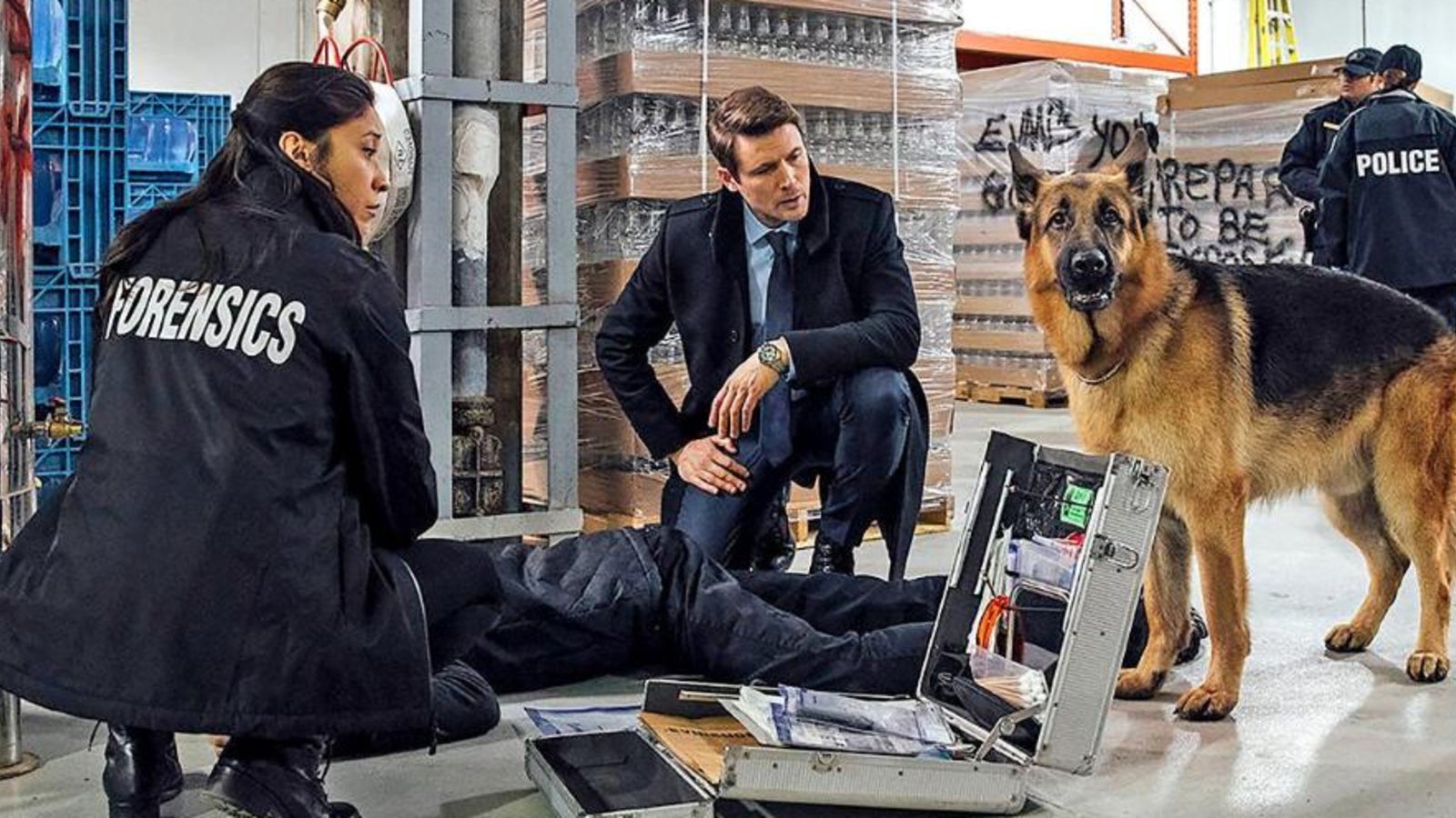 TVSensation Comeback für ''Kommissar Rex'' stars24