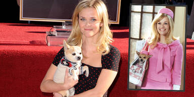 Reese Witherspoon und Hund Moonie in "Natürlich Blond"