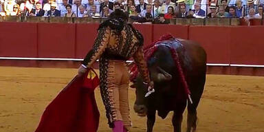 Matador wischt Stier letzte Träne ab