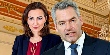 SPÖ lässt Zadic und Nehammer vorladen