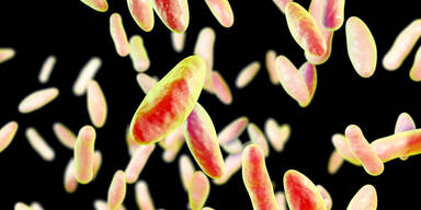 Bakterium aus China-Labor entdeckt