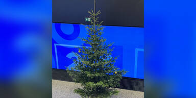 Netz lacht über ORF-Weihnachtsbaum