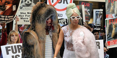 PETA: ‘Lady Gaga & Rihanna sind Freaks‘