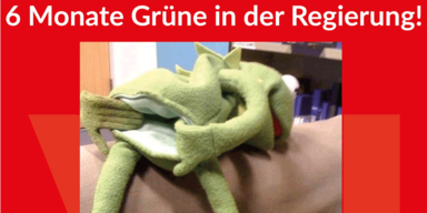 Grüne KErmit SPÖ Posting