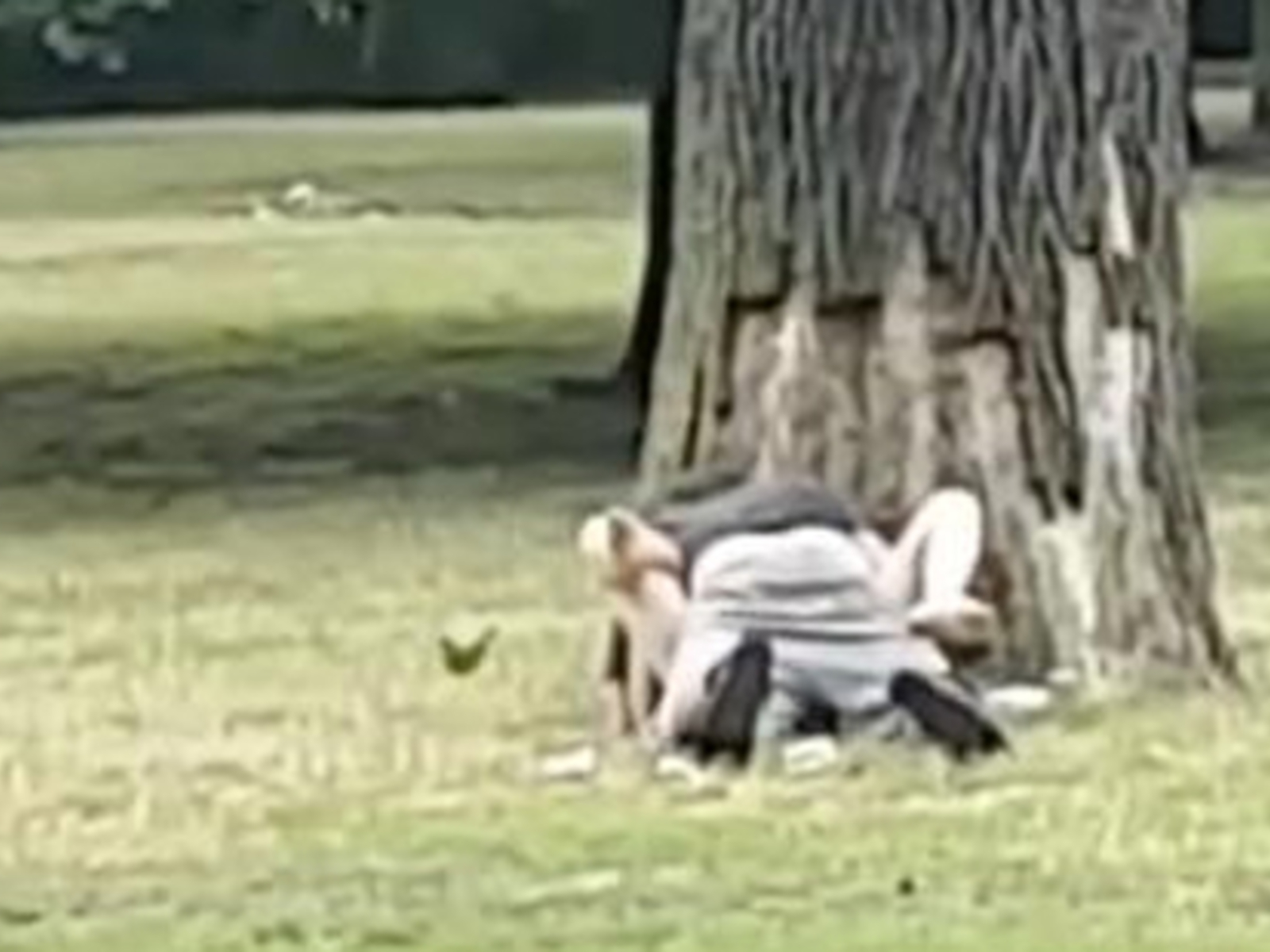 Stadtplanerin fordert Sex Zonen in Parks oe24 at 