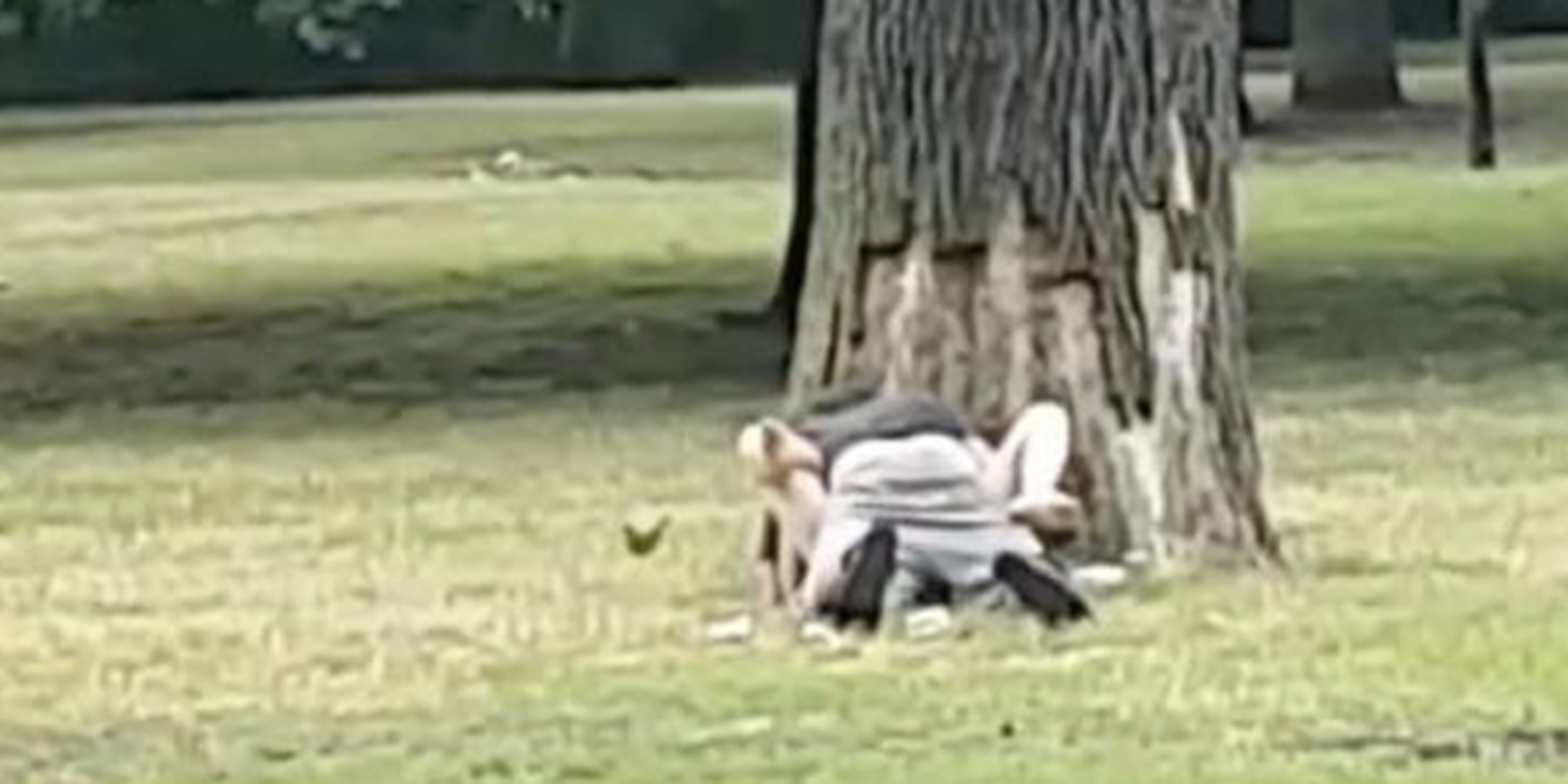 Paar mitten im Park beim Sex erwischt - oe24.at