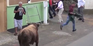 Mann filmt Stier mit iPad – die Rache kommt sofort