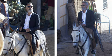 George Clooney Esel