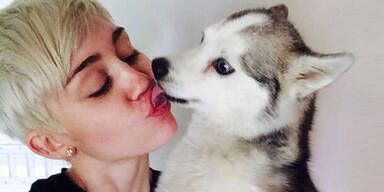 Miley Cyrus traurert um Hund Floyd