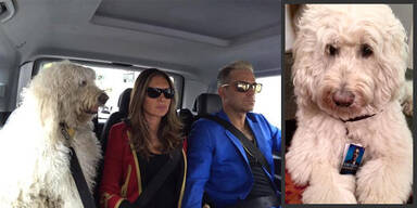 Robbie Williams & Hund Spencer