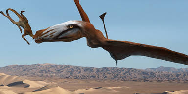 Forscher entdecken neue Flugsaurier-Art