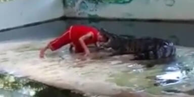 Thailand Krokodil Biss