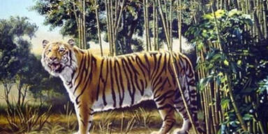 Erkennen Sie hier den versteckten Tiger?