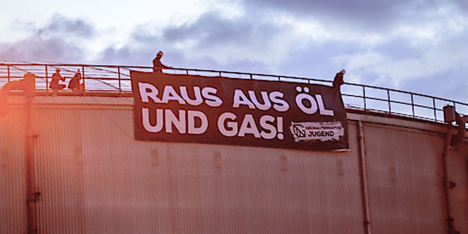 Wiens Polizei fordert Auslieferung prominenter Grüner