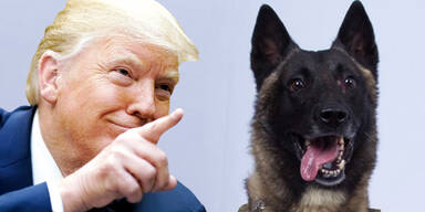 Trump Hund IS-Chef al-Baghdadi