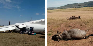 Massai Mara Kenia Flugzeug Gnu