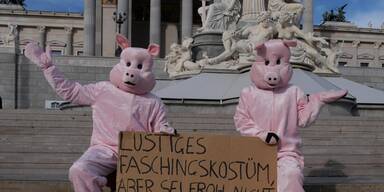 VGT-Schweine vor dem Parlament