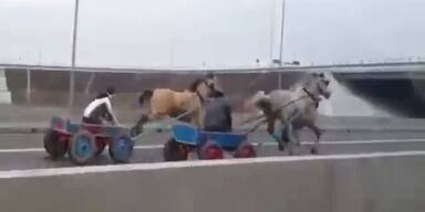 Illegal: Pferderennen auf rumänischer Autobahn