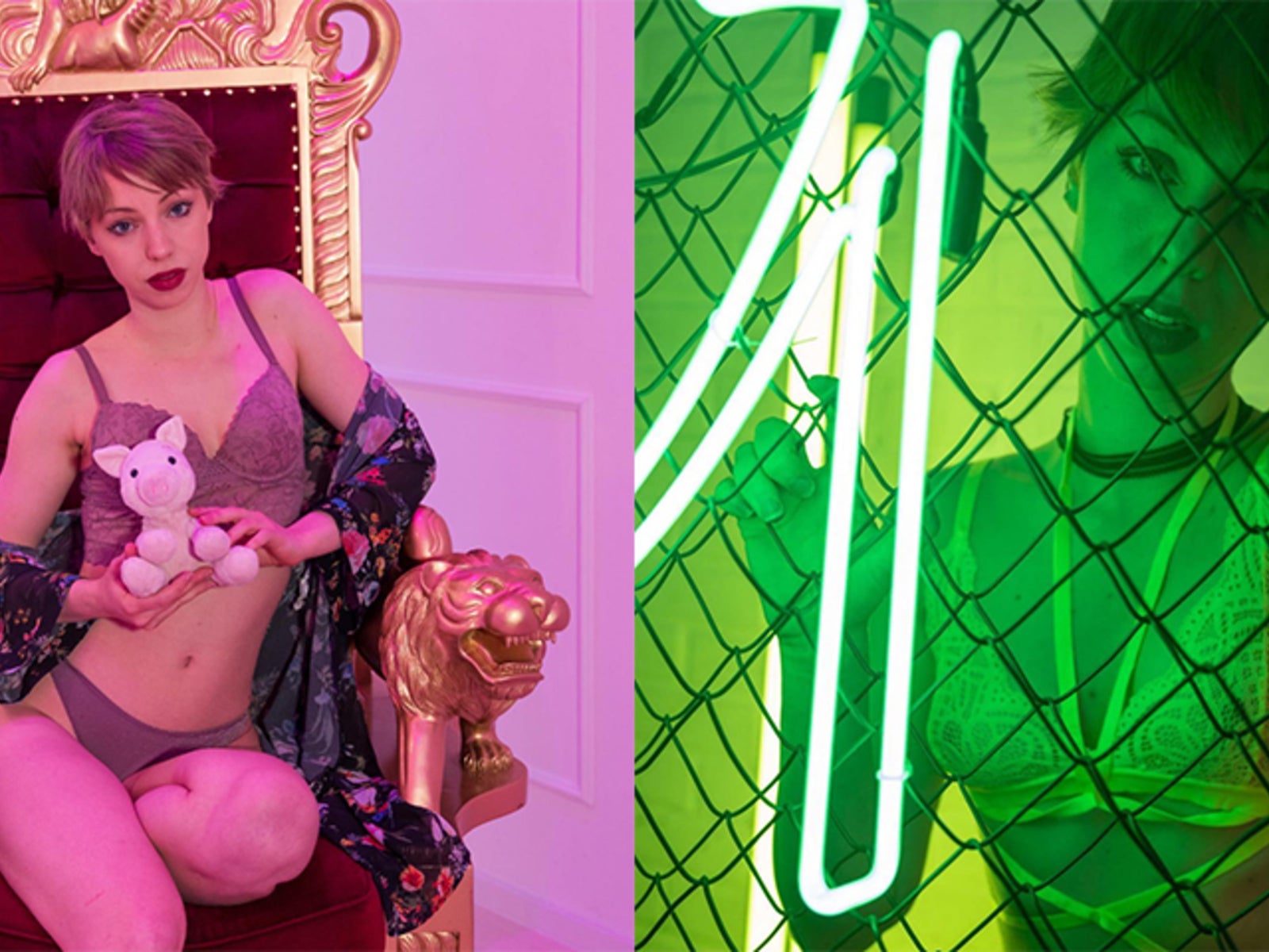 Porno militante veganerin