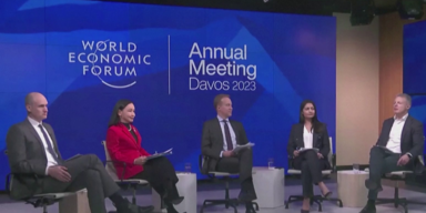 WEF Davos Jeder zehnte reiste mit Privatjet an.png