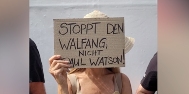 Wahlschutzer.PNG