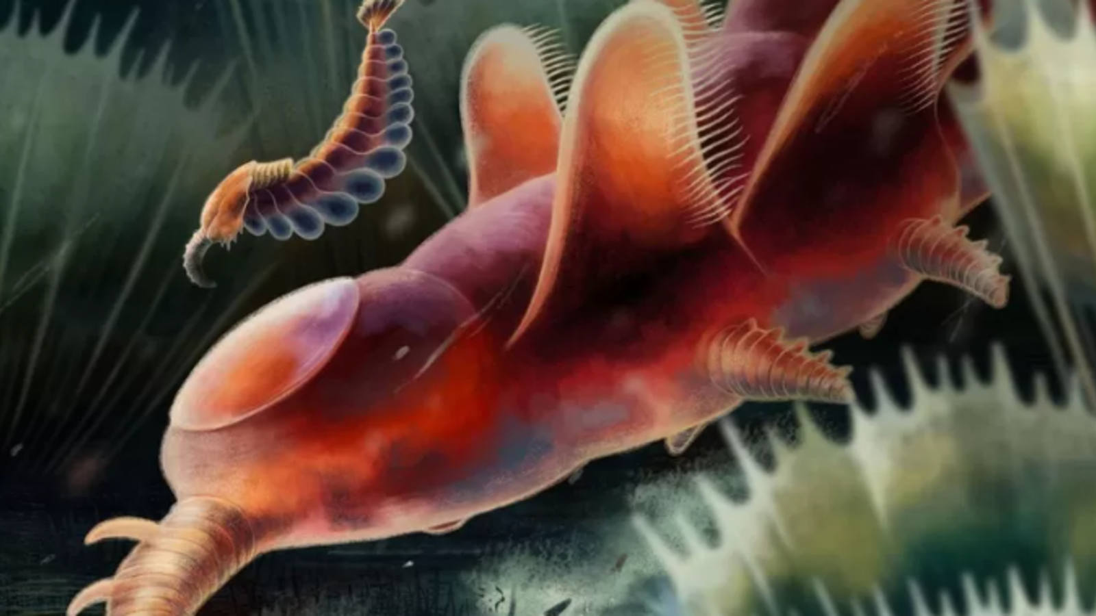 Forscher finden 400 Millionen Jahre altes Fossil! oe24.at