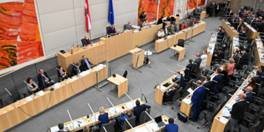 FPÖ-Antrag gegen Klimabonus für Asylwerber abgelehnt
