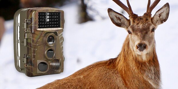 Wildkameras für Überwachungszwecke