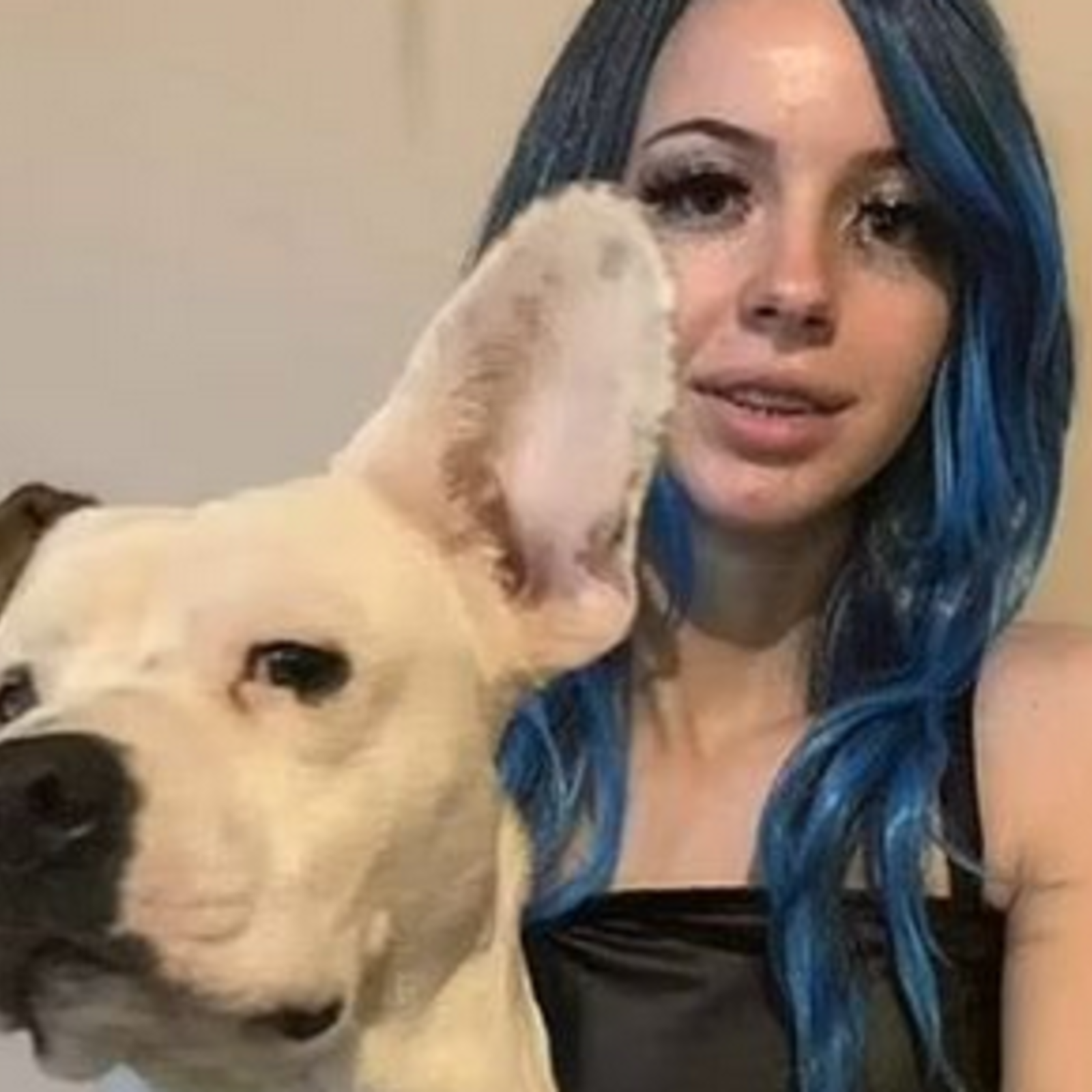 Mädchen (19) vergeht sich in Kirche an unschuldigem Hund - oe24.at