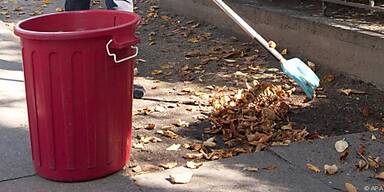 Zum Kompostieren darf das Laub nur feucht sein
