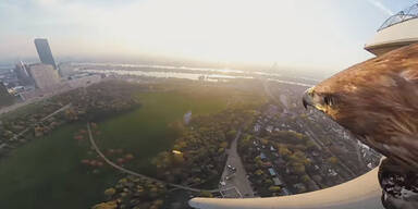 Weltpremiere: Video zeigt Wien aus Adlerperspektive