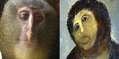 Affe sieht aus wie verpfuschter Jesus