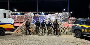 Polizei in Brasilien entdeckt eine Tonne Kokain in Katzenstreu
