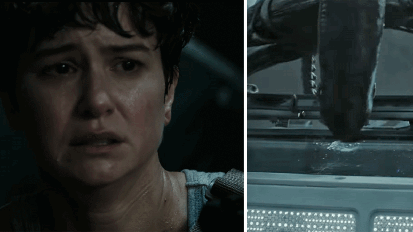 Alien: Das ist der neue Trailer - stars24