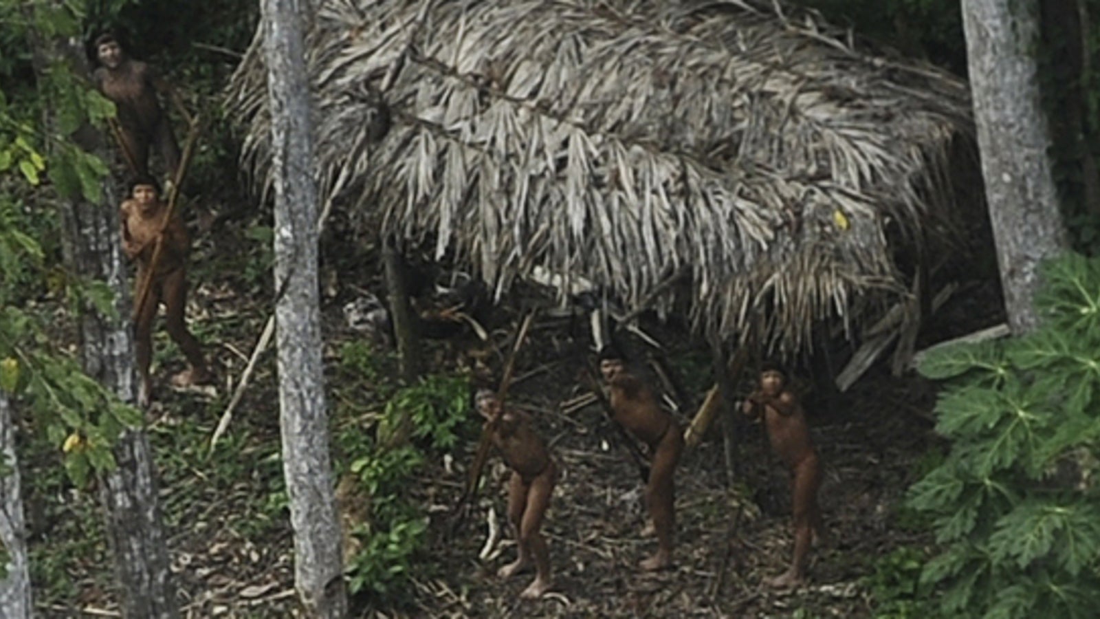 Indios ohne Kontakt zur Zivilisation entdeckt oe24.at