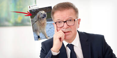 Anschober erntet wegen Hunde-Foto Shitstorm