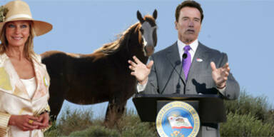 Arnie macht Bo Derek zur Pferdebeauftragten