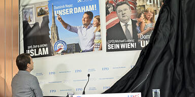 FPÖ-Plakate: Nepp setzt auf "Unser Daham"