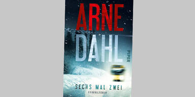 Arne Dahl Sechs mal zwei