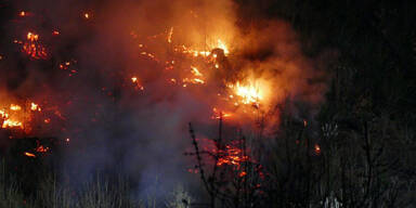 Waldbrand in Kapfenberg forderte Einsatzkräfte
