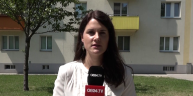 oe24.TV-Reporterin Julia Rauch