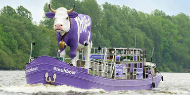 Muhboot auf dem Donausinselfest