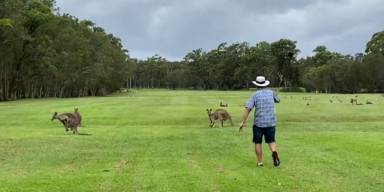 australien golf.png