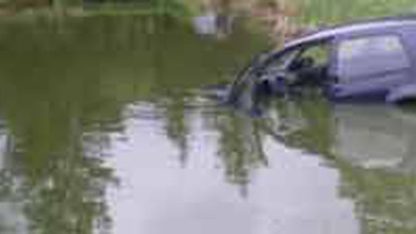 Frau versenkte Wagen in Fischteich oe24.at