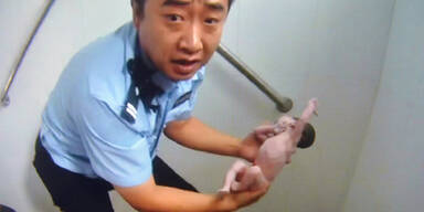 Neugeborenes aus WC-Rohr gerettet 