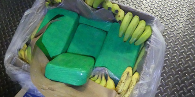 660 Kilo Kokain in Bananenkisten entdeckt
