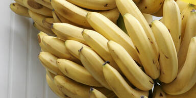 Zwischen Bananen: Drei Tonnen reines Kokain gefunden