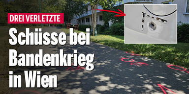 Schüsse bei Bandenkrieg in Wien