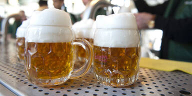 So teuer ist Bier in Wiens Hotels